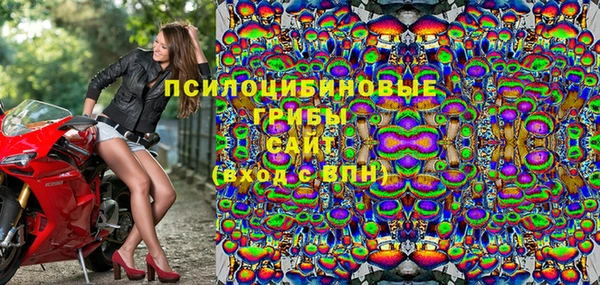 МДПВ Сатка