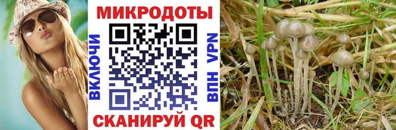MEGA   Дегтярск  маркетплейс состав  Галлюциногенные грибы мицелий 
